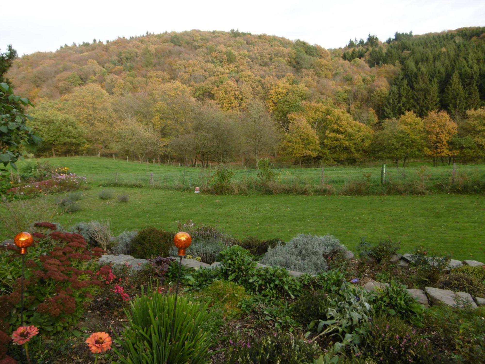 Апартаменти Land Des Friedens In Nettersheim / Eifel Екстер'єр фото